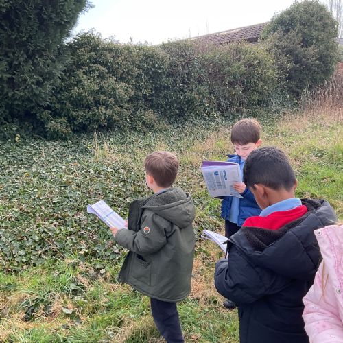 2.3.26 Wb Science- Plants